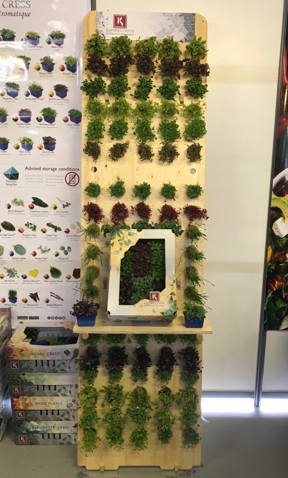 Koppert Cress micro vegetables displays 2