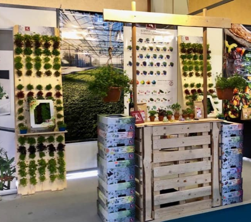 Koppert Cress micro vegetables displays 3